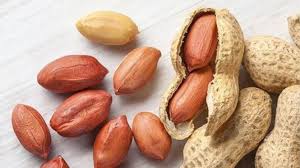 Kacang